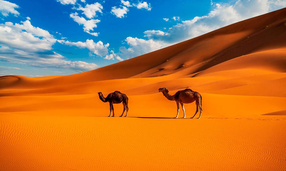 Wüstenabenteuer: Unvergessliche Reisen in die schönsten Sandlandschaften Wüstenabenteuer: Unvergessliche Reisen in die schönsten Sandlandschaften